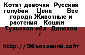 Котят девочки “Русская голубая“ › Цена ­ 0 - Все города Животные и растения » Кошки   . Тульская обл.,Донской г.